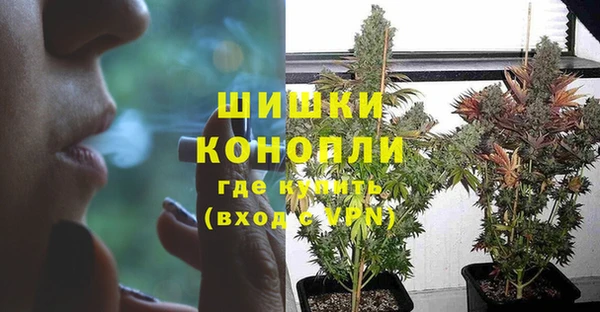 прущие грибы Покачи