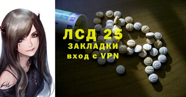 прущие грибы Покачи