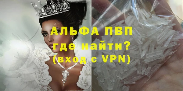 прущие грибы Покачи