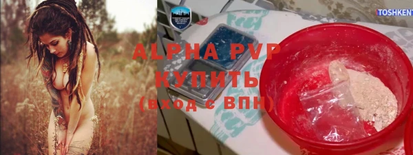 прущие грибы Покачи