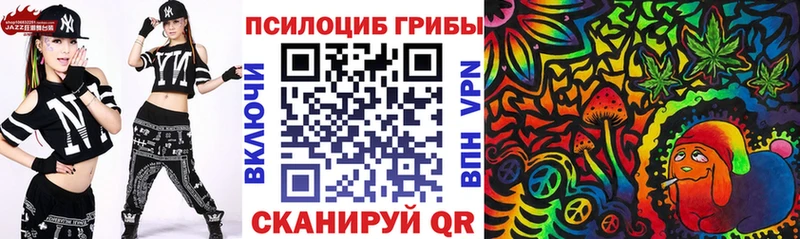 Псилоцибиновые грибы Psilocybe  даркнет Telegram  Семилуки 